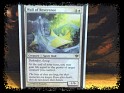 United States  Wizardz Magic